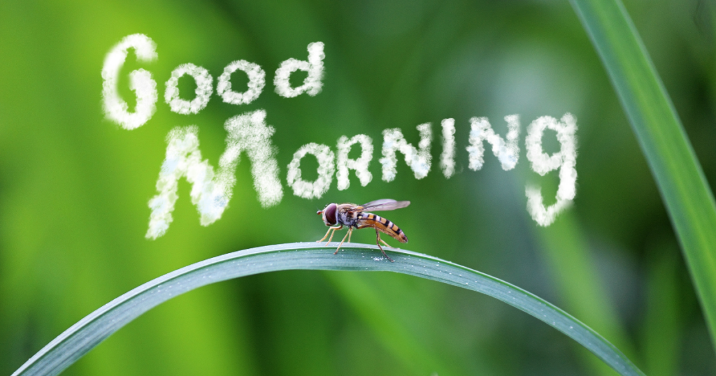 Powerful Tuesday Blessings and Prayers